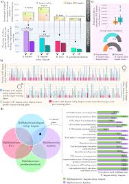Genetic strategies for sex-biased persistence of gut microbes across human  life | Nature Communications