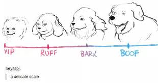 The Bork Scale For Dogs And Whatever Album On Imgur