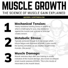 You must track your daily calories to be most effective, and to prevent unwanted fat gain. The Ideal Caloric Surplus For Muscle Gain Men And Women