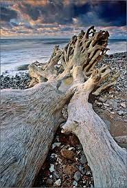 East Wind Scenery Beautiful Landscapes Beautiful Nature