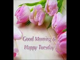 20) good morning beautiful souls ! Good Morning Happy Tuesday Video Whatsaap Wishes Beautiful Whatsaap Status Sweet Quotes Youtube
