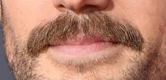 Please, try to prove me wrong i dare you. Can You Guess Which Celebrities These Mustaches Belong To