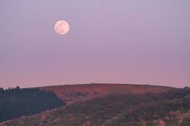 Send a private messageredditor for 3 years. Ouvrez Les Yeux Une Lune Rose Eclairera Le Ciel Le 27 Avril Prochain