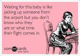 Congratulations on your pregnancy meme. 71 Funniest Pregnancy Memes On The Web Inspirationfeed