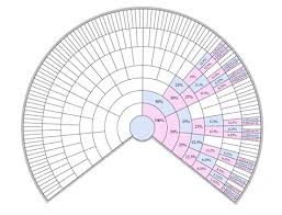 More X Chromosome Charts The Genetic Genealogist