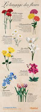 Dites Le Avec Des Fleurs Et Ne Vous Trompez Plus Decouvrez La Signification De Ces 8 Fleu Langage Des Fleurs Fleurs Et Signification Signification Fleurs