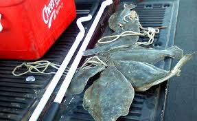 Inlet Light Led Fishing Gigging Lights In 2020 Led Lights Lights Led