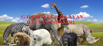 G Harfiyle Baslayan Hayvan Isimleri Mmsrn Com Egitim Ve Bilgi Sitesi