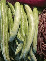 Image result for Cucumis meeusei