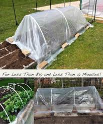 I have been wanting a greenhouse for quite some time, so i had to make it happen when i saw someone post a a brand new. 50 Budget Friendly Diy Greenhouse Ideas Balcony Garden Web