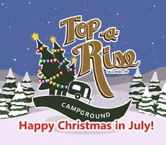 Chicken BBQ Christmas Dinner - Top A ...