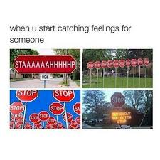 This Was Me For Three Months And I Just Finally Gave In And Here I Am With The Best Person Ever Crush Memes Funny Crush Memes Funny Relatable Memes