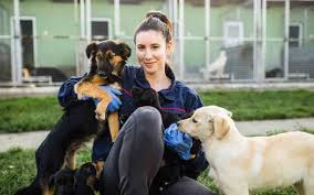 Emmi sucht ein neues zuhause. Tiere Suchen Ein Zuhause Weshalb Man Erst Im Tierheim Vorbeischauen Sollte Happy Pet Club