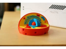 Check spelling or type a new query. Multi Color Cell Model By Mosaicmanufacturing Thingiverse
