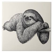 Sloth On Tree Tile Zazzle Com Sloth Art Sloth Tattoo Pencil Drawings Of Animals