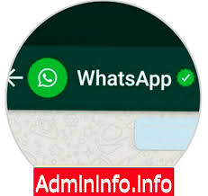 5.apakah pasukan pengurusan dan kakitangan teknikal mempunyai pengalaman yang sesuai dan rekod yang baik? Perniagaan Whatsapp Kini Rasmi Mengetahui Semua Butirannya Internet