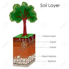 Soil Layers Diagram What Is Soil Profile Soil Profile