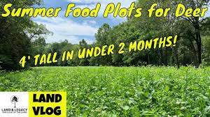 Liming and fertilizing goes hand in hand with soil sampling, and like soil sampling, it is a step often skipped by first time food plotters. Summer Food Plot Blends What S The Best Food For Deer Youtube