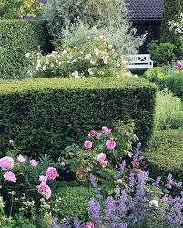 Hecken Fur Deinen Romantischen Garten Mit Bildern Garten Cottage Garten Garten Ideen
