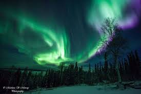 The two maps show the north and south poles of the brightness and location of the aurora is typically shown as a green oval centered on earth's magnetic pole. Aurora Borealis Oct 29 30 Featured Newsminer Com