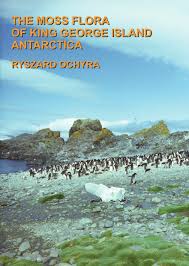 Image result for Habenaria splendentior