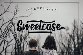 Brush script mt font family. Brush Script Page 2 Fontbundles Net