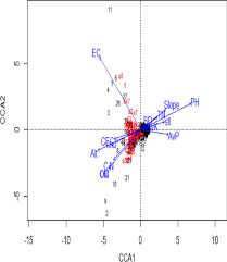 Image result for Erythrococca trichogyne