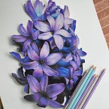Love How These Look 3d Color Pencil Art Flower Drawing Color Pencil Drawing