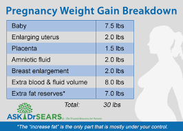 Healthy Weight Gain During Pregnancy Baby Pregnancy