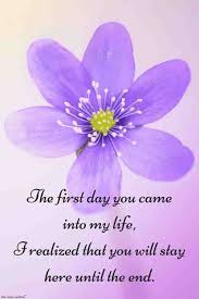 However, it is hard to explain the wild flowers that one gardener calls weeds, and another considers beautiful ground cover.. Romantic Good Morning Love Quotes For Him Best Collection