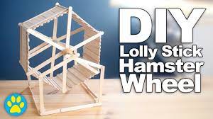 Diy Lolly Stick Hamster Wheel Hamster Toys Hamster Diy Diy Hamster Toys