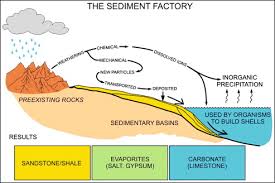 Maybe you would like to learn more about one of these? Basic Sedimentary Rock Properties Sciencedirect