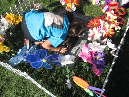 Profile for In Memory Of David Folau 'Okusi