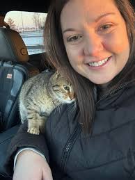 Found outside at Owens Early Learning Center at 8am. If this kitty is  yours, PM me. **this cat is currently with food and water and a litter box  in my attached garage.