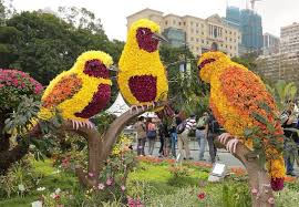 Hong Kong Show Flowers Topiary Garden Beautiful Flowers Flower Show