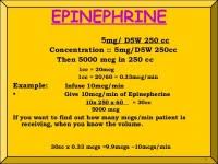 pediatric epinephrine dose chart peds pals dosage