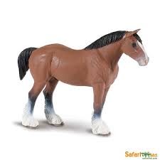 A clydesdale has a broad forehead with a flat profile, big ears, and a wide muzzle. Safaripedia Clydesdale