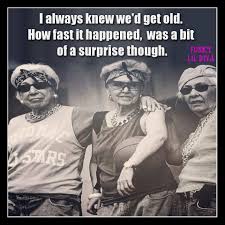 So, you always like to have fun with them. Pin By Michelle Blackwell On Birthday Birthday Quotes Funny Funny Birthday Meme Birthday Wishes Funny