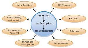 The Completion Of Job Descriptions And Job Specifications Based On Job Analysis Is At T Job Analysis Industrial And Organizational Psychology Human Resources