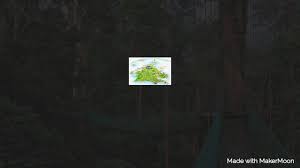 Tempat pelancongan menarik kali ini kami fokuskan di kota kinabalu, sabah sahaja. Tempat Menarik Di Sabah Home Facebook