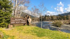 Check spelling or type a new query. Hoh River Trail Olympic National Park Mb Guiding