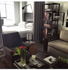 I Like The Set Up The Vibe Of The Room Like The Idea Of Using A Curtain As Divider Instead Of B Studio Apartment Decorating Apartment Layout Apartment Decor