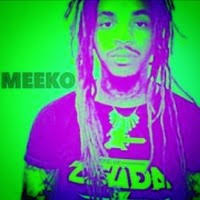 TheMoney Meeko