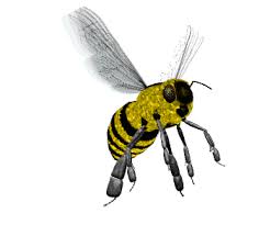 See more 'minecraft bees' images on know your meme! Top Bee Stickers For Android Ios Gfycat