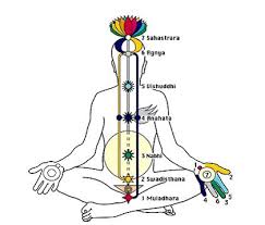 diagram of the seven chakras connected by a network of nadis