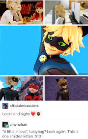 Awwwwww I Sigh When I See Chat Noir And Adrien Ladybug And Chat Noir Ladybug X Cat Noir Ladybug Cat Noir