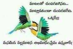 You can send them to the individuals you care about. 110 Telugu Quotes Ideas Quotes Telugu Telugu Inspirational Quotes