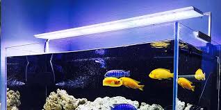 Best Reef Led Lighting Of 2020 Top Rated Lights Compared