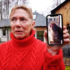 Missing monkey trapped by yorkshire pudding in Scotland