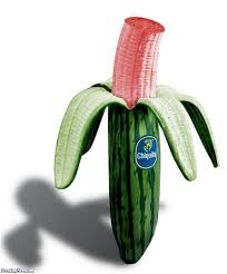 Banana Melon Pictures Buah Aneh